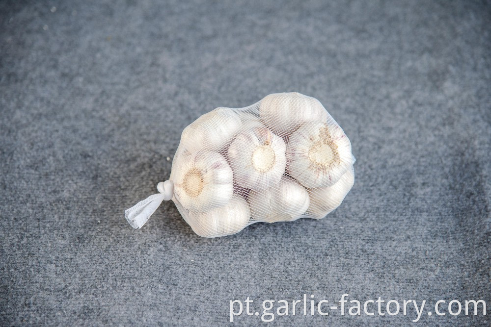 factory directly supply top grade fresh garlic